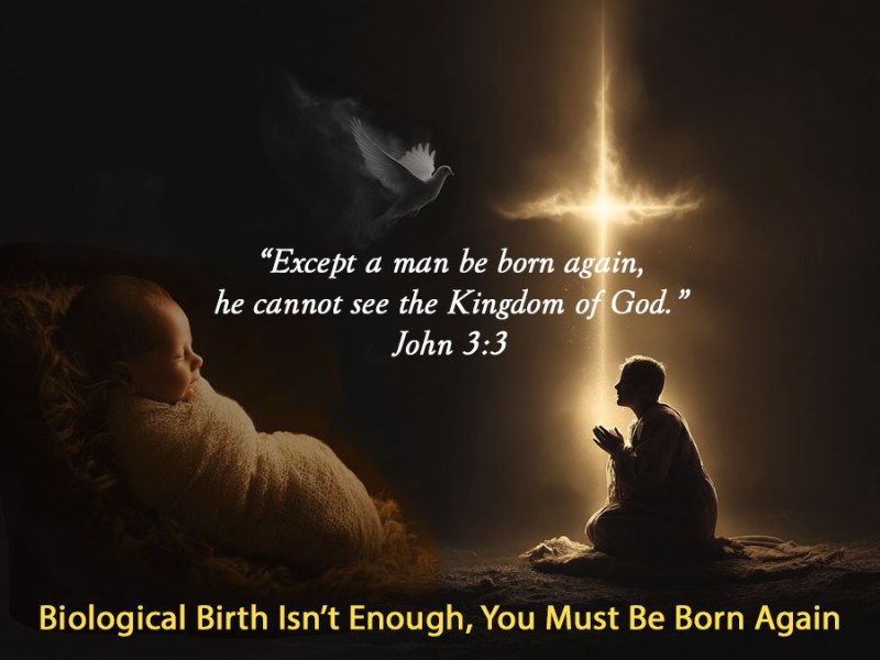 The New Birth – Nick at&nbsp;Nite