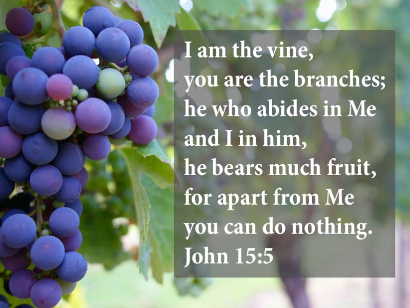 Abide in Me